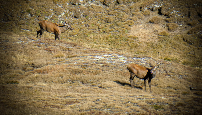 Screenshot 2025 11 02 alle 09.44.22