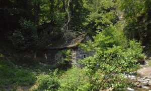 Via dei torchi e dei mulini