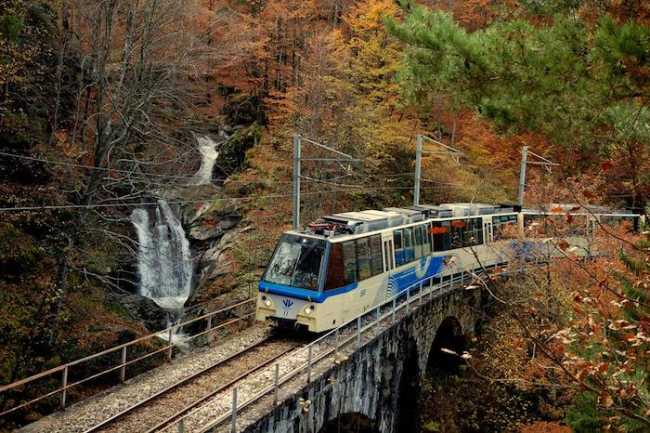 Vigezzina Foliage 8