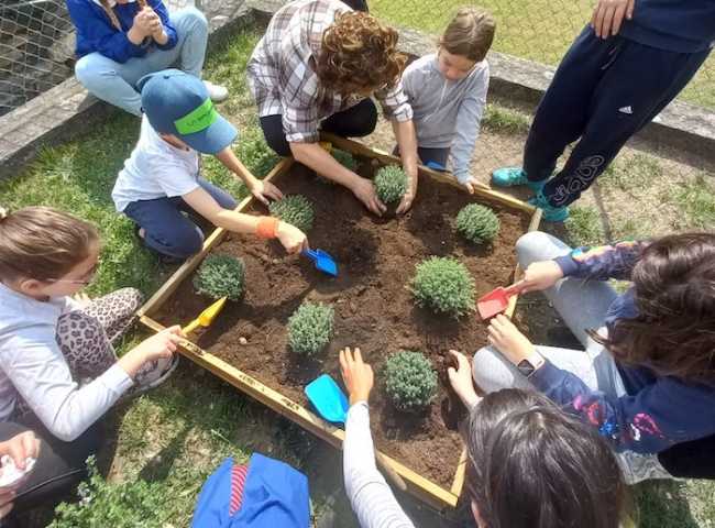 WhatsApp Image 2023 05 06 at 11.43.39