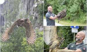 WhatsApp Image 2023 05 30 at 08.50.121