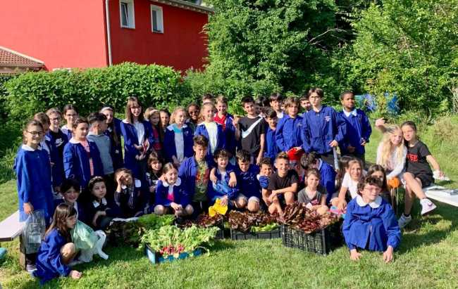 WhatsApp Image 2023 06 07 at 13.01.131