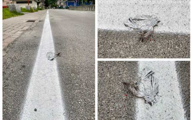 WhatsApp Image 2023 06 09 at 09.42.451