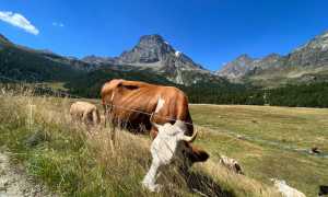 WhatsApp Image 2023 06 22 at 09.15.36