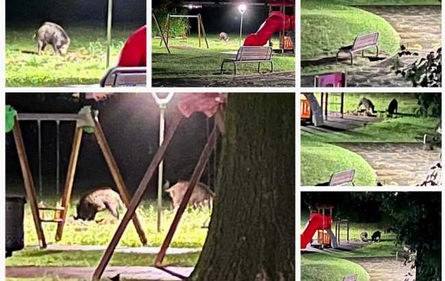 WhatsApp Image 2023 09 13 at 12.10.58