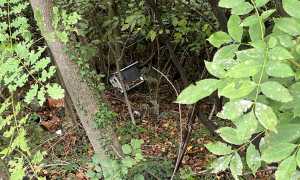 WhatsApp Image 2023 09 19 at 09.37.40