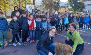 WhatsApp Image 2023 10 28 at 13.39.01