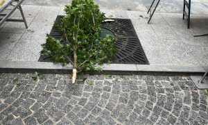 WhatsApp Image 2024 07 06 at 09.15.29