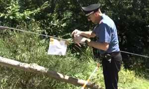 WhatsApp Image 2024 08 28 at 11.03.44