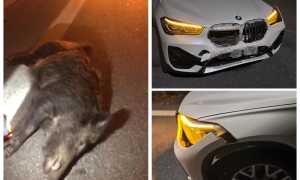 WhatsApp Image 2024 10 12 at 09.41.321