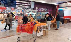 WhatsApp Image 2024 11 19 at 18.42.14