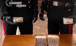 WhatsApp Image 2024 12 17 at 10.42.22