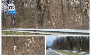 WhatsApp Image 2025 02 17 at 09.24.401