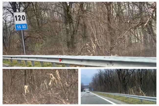 WhatsApp Image 2025 02 17 at 09.24.401