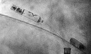 WhatsApp Image 2025 03 12 at 07.40.15