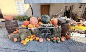 WhatsApp Image 2025 10 18 at 17.16.30