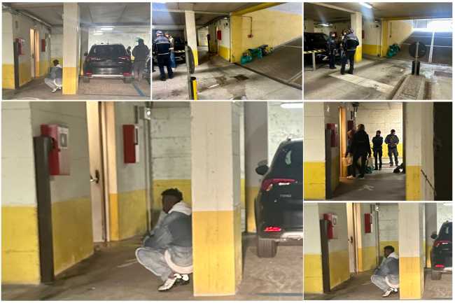 WhatsApp Image 2025 10 22 at 10.13.27