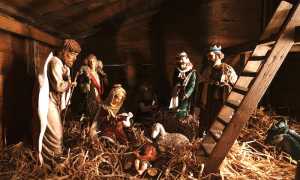 al elmes ZiCz oW1LXA unsplash