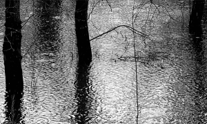 alluvione