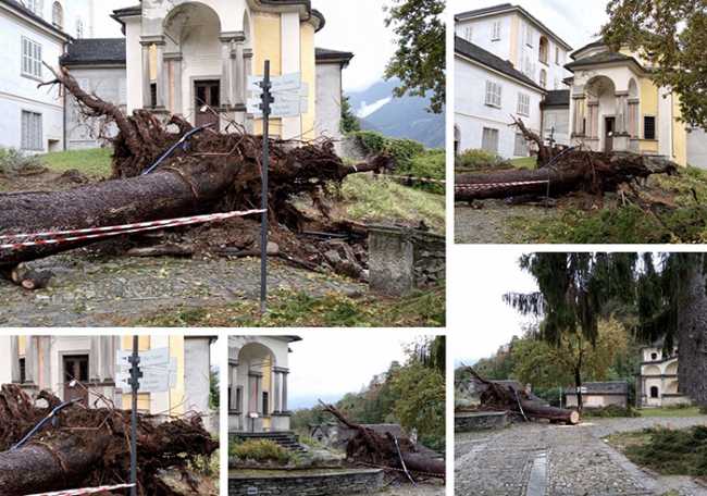 calvario albero alluvione ott 20 mix
