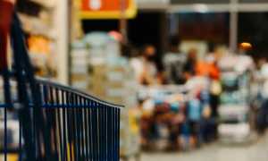 colletta alimentare 2025