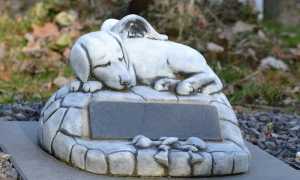 csaba gyulavari ZZ hQP92Vbc unsplash