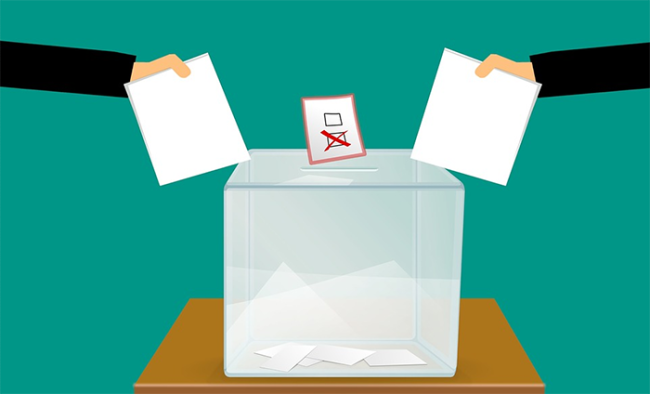 disegno referendum urna schede voto