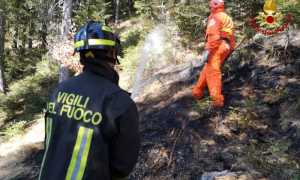 incendio bosco00002