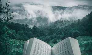 kourosh qaffari RrhhzitYizg unsplash