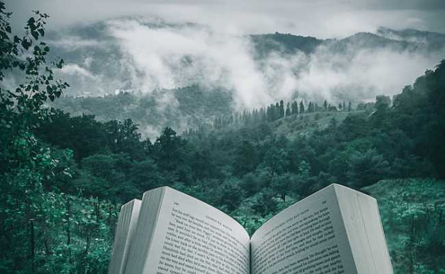 kourosh qaffari RrhhzitYizg unsplash