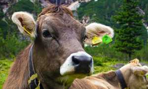 michele de pascalis HLTIQgM0OZY unsplash