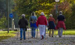 nordic walking 1814784 640