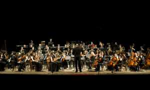 orchestra cantelli low