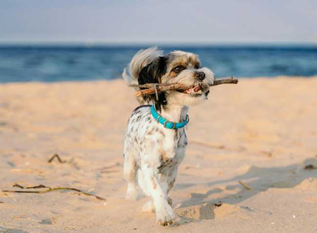 pexels barczakshoots 7947539