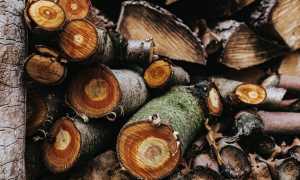 pexels photo 1056719