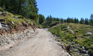 pista.moro italia nostra