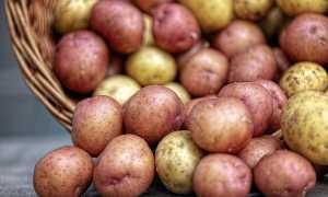 potatoes 4331742 960 720
