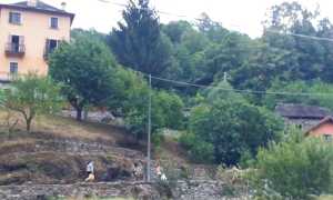 profughi casa rosa