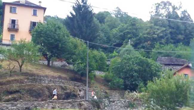 profughi casa rosa