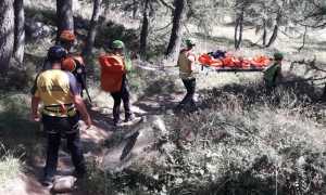 soccorso barella bosco