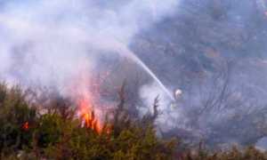 sterpaglie incendio 2