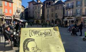 tavan 2021