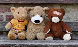 teddy bears 6359903 640