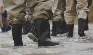 the tampa bay estuary program BFAYxIirP9U unsplash