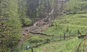 vigneti maltempo coldiretti